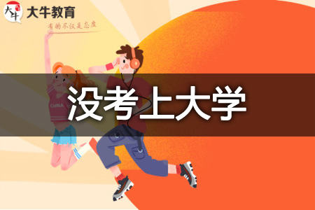 没考上大学