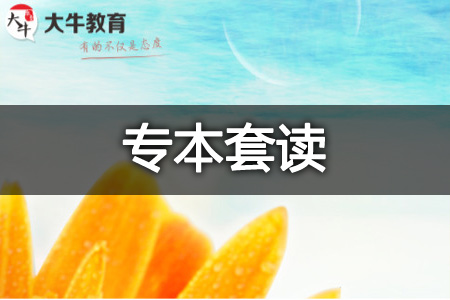专本套读官网