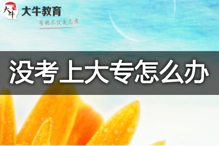 没考上大专