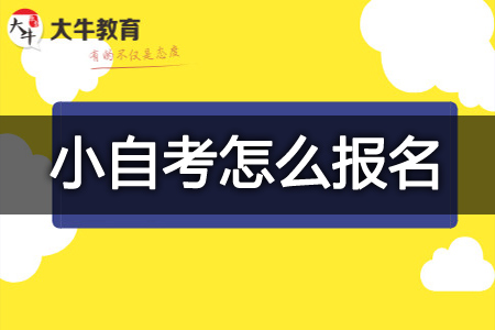 小自考助学点