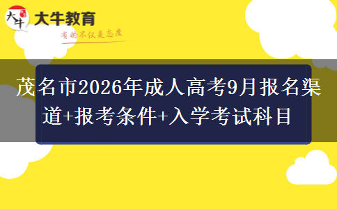 文章标题
