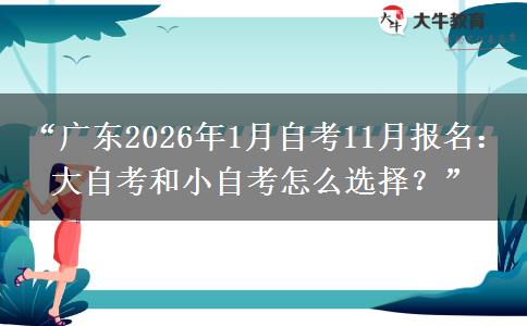 “广东2026年1月自考11月报名：大自考和小自考怎么选择？”