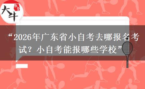 “2026年广东省小自考去哪报名考试？小自考能报哪些学校”