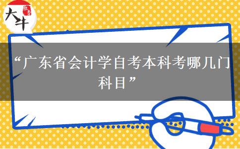 “广东省会计学自考本科考哪几门科目”