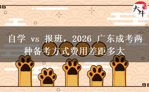 自学 vs 报班，2026 广东成考两种备考方式费用差距多大