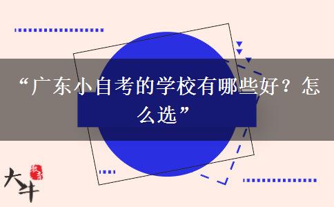 “广东小自考的学校有哪些好?怎么选” “广东小自考的学校有哪些好?怎么选”