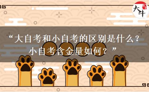 “大自考和小自考的区别是什么？小自考含金量如何？”