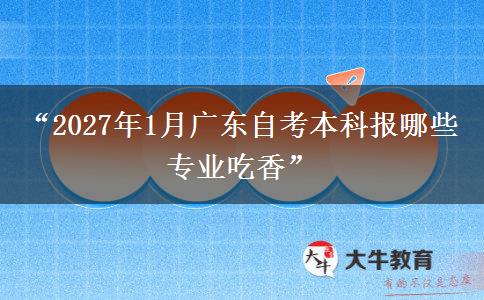 “2027年1月广东自考本科报哪些专业吃香”
