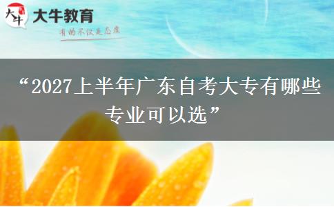 “2027上半年广东自考大专有哪些专业可以选”