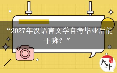 “2027年汉语言文学自考毕业后能干嘛？”