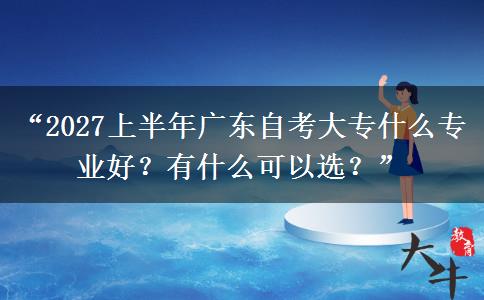 “2027上半年广东自考大专什么专业好？有什么可以选？”