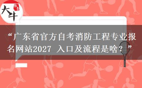 “广东省官方自考消防工程专业报名网站2027 入口及流程是啥？”
