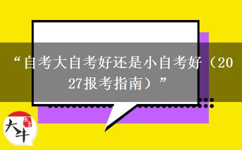 “自考大自考好还是小自考好（2027报考指南）”