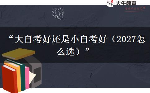 “大自考好还是小自考好（2027怎么选）”